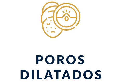 FisioForma - Eficaz Contra - Poros Dilatados